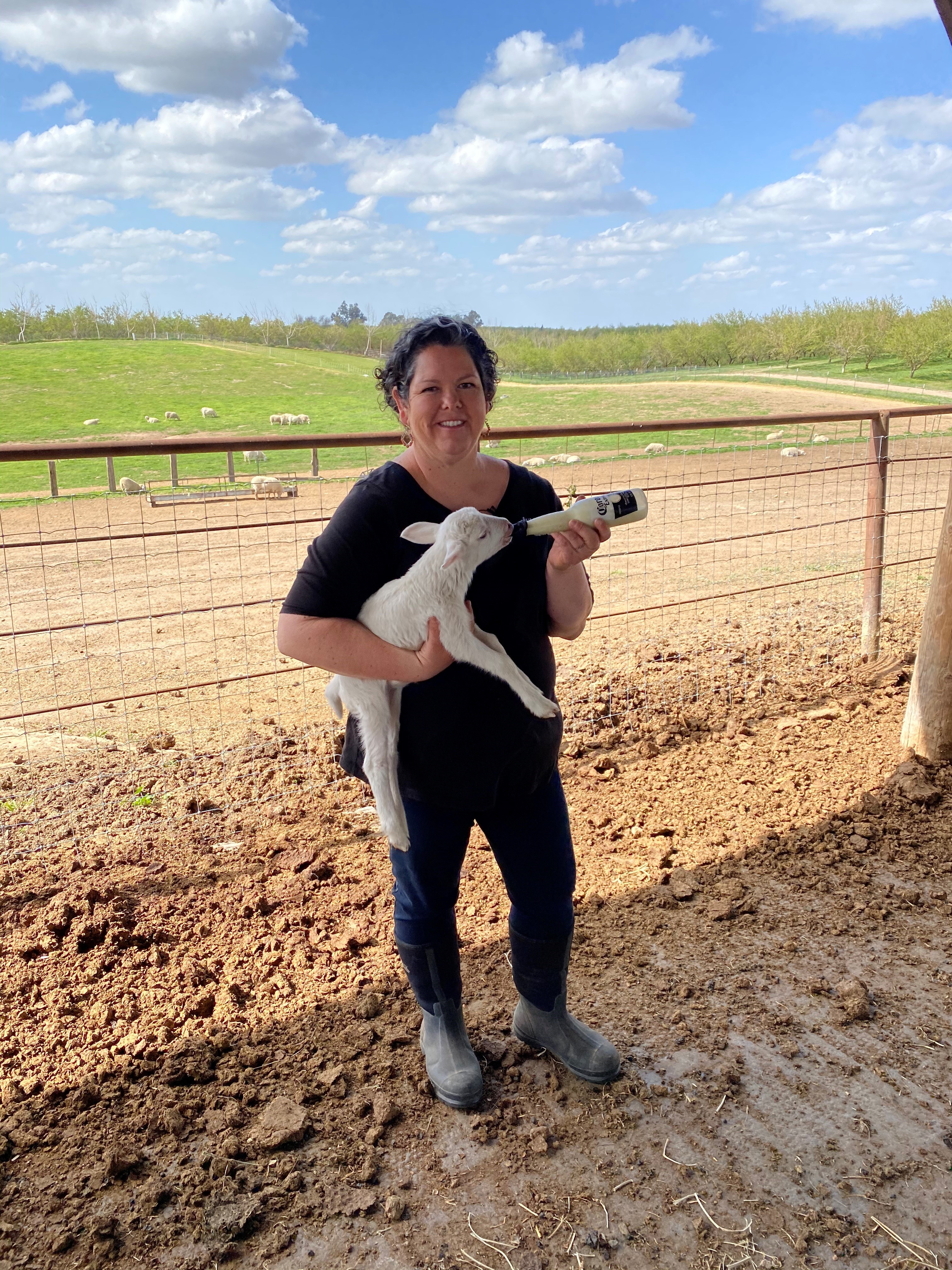 From the Fields: Benina Montes, Merced County tree crop grower and sheep rancher