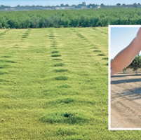 Irrigation News: Increase your bottom line with good irrigation