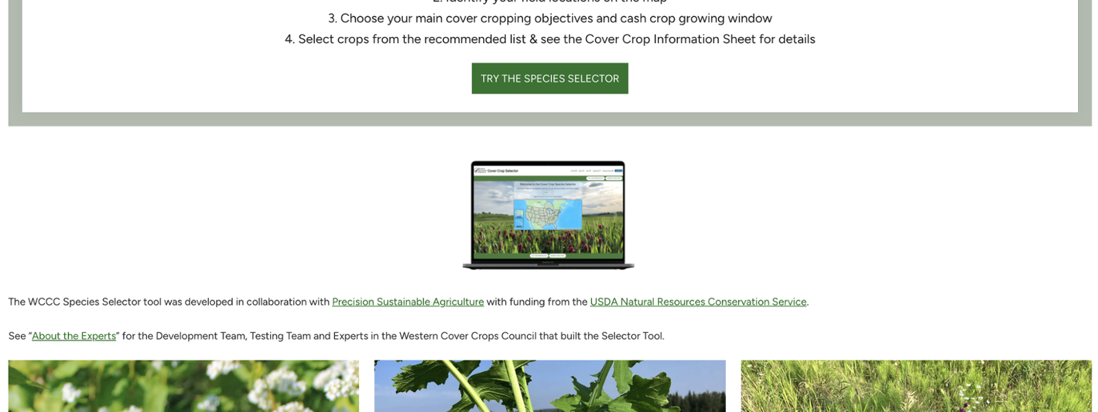 New tool helps farmers select cover crops