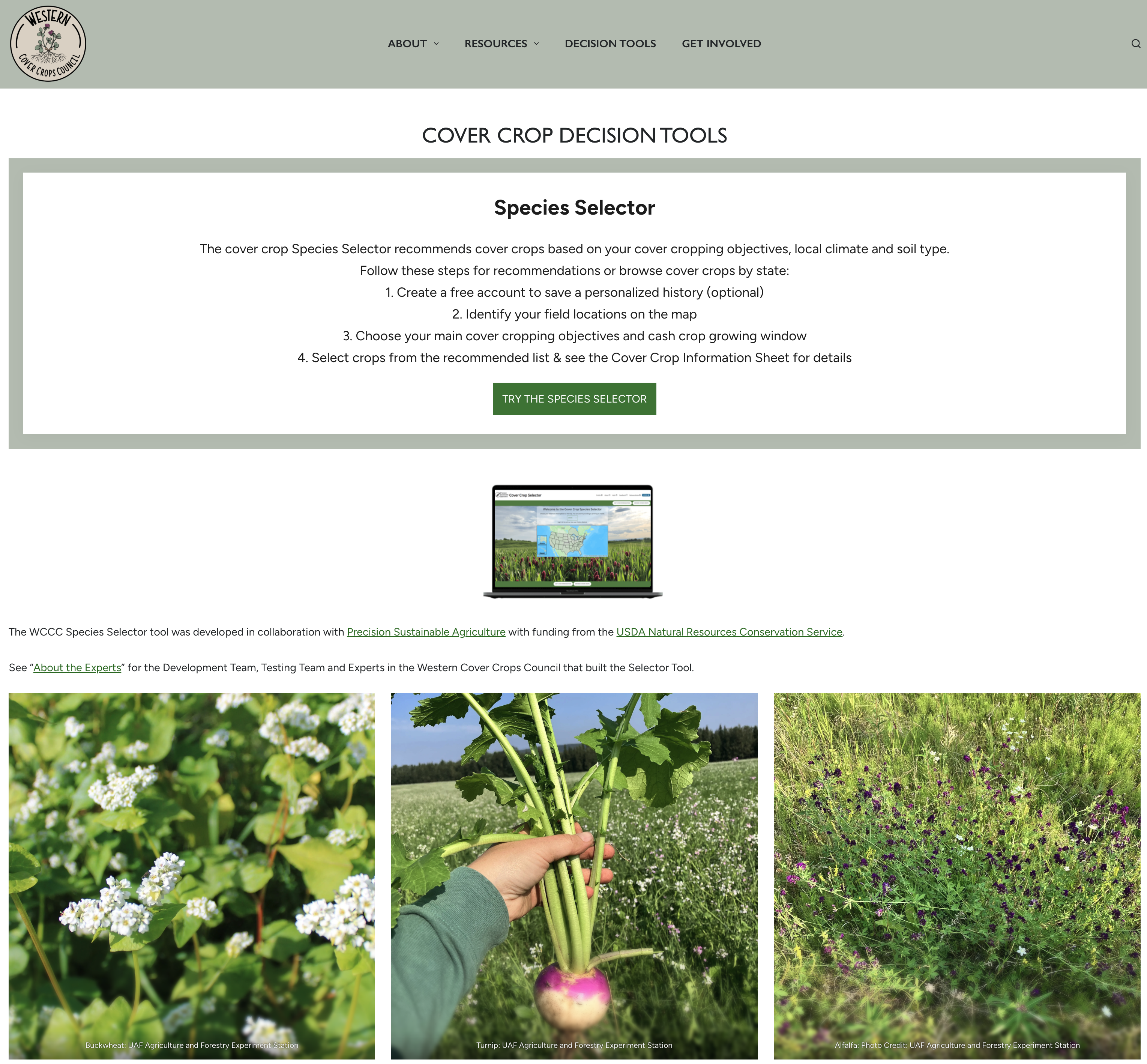 New tool helps farmers select cover crops