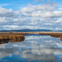 New WOTUS rule to give clarity, cut red tape for farms