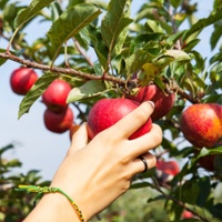 Some state crops may feel squeeze from Ukraine war