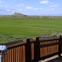 Habitat concerns muddle Colorado River water plan