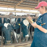 Farm bill delay threatens dairy payments