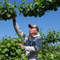 Farmers liquidate assets as banks retreat