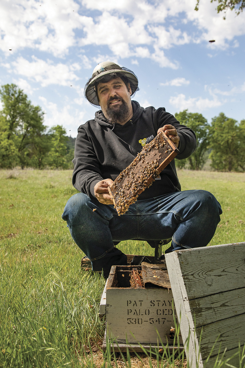 From the Fields: Matt Stayer, Shasta County beekeeper and queen breeder