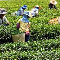 Advocacy in Action: Water, labor and endangered species