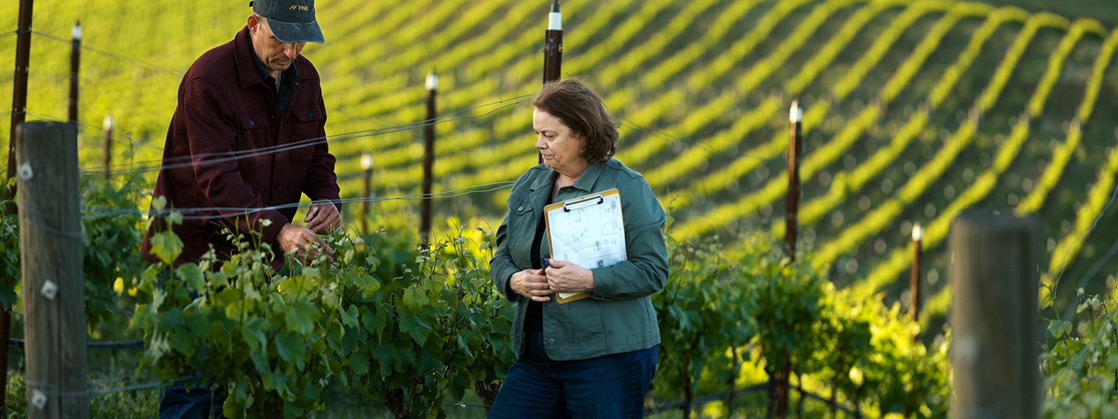 Program pairs new farmers with seasoned mentors