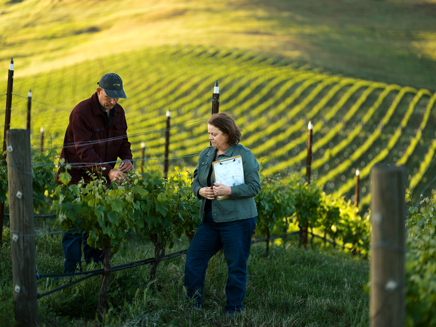 Program pairs new farmers with seasoned mentors