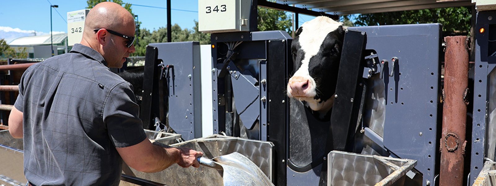 Experts seek methane-cutting solutions