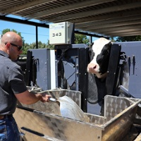 Experts seek methane-cutting solutions