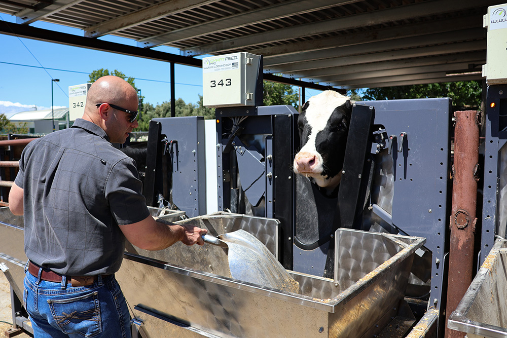 Experts seek methane-cutting solutions