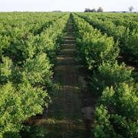 Efficient irrigation through smart and informed irrigation purchases