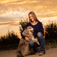 Madera County farm dog wins Farm Bureau contest