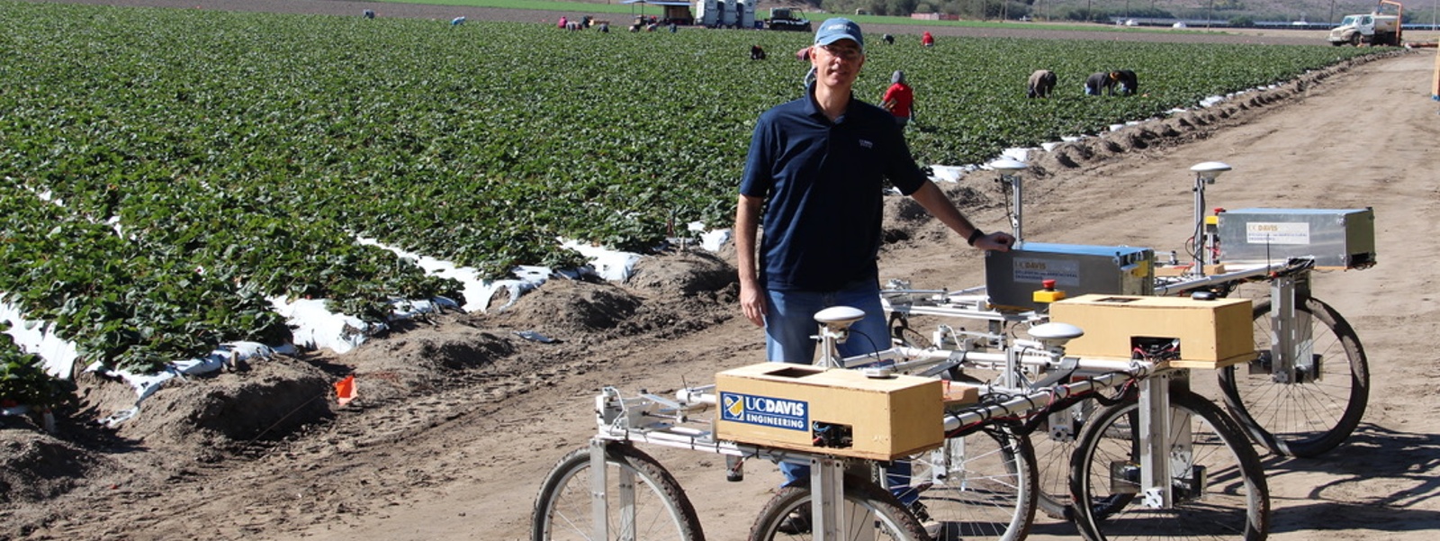 On the Record: Stavros Vougioukas talks labor and robotic harvesting