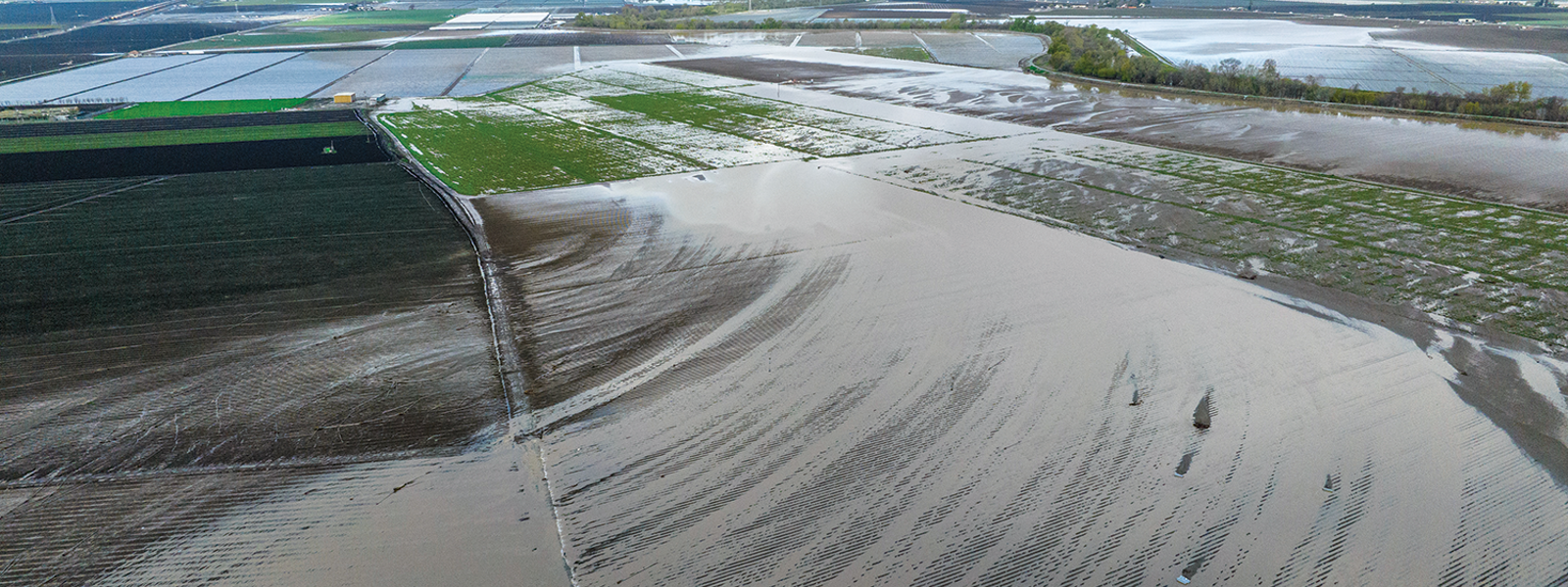 Commentary: Farmers seek solutions for flood-control failures