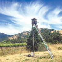 Vineyard boxes help lure owls that manage rodents
