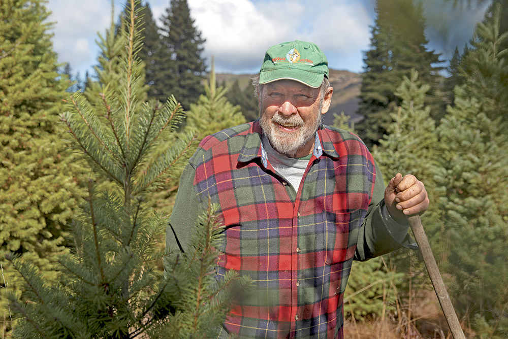 From the Fields: Robert Criswell, Santa Clara County Christmas tree farmer