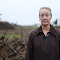 Pear farmers seek to limit Argentine fruit in US market