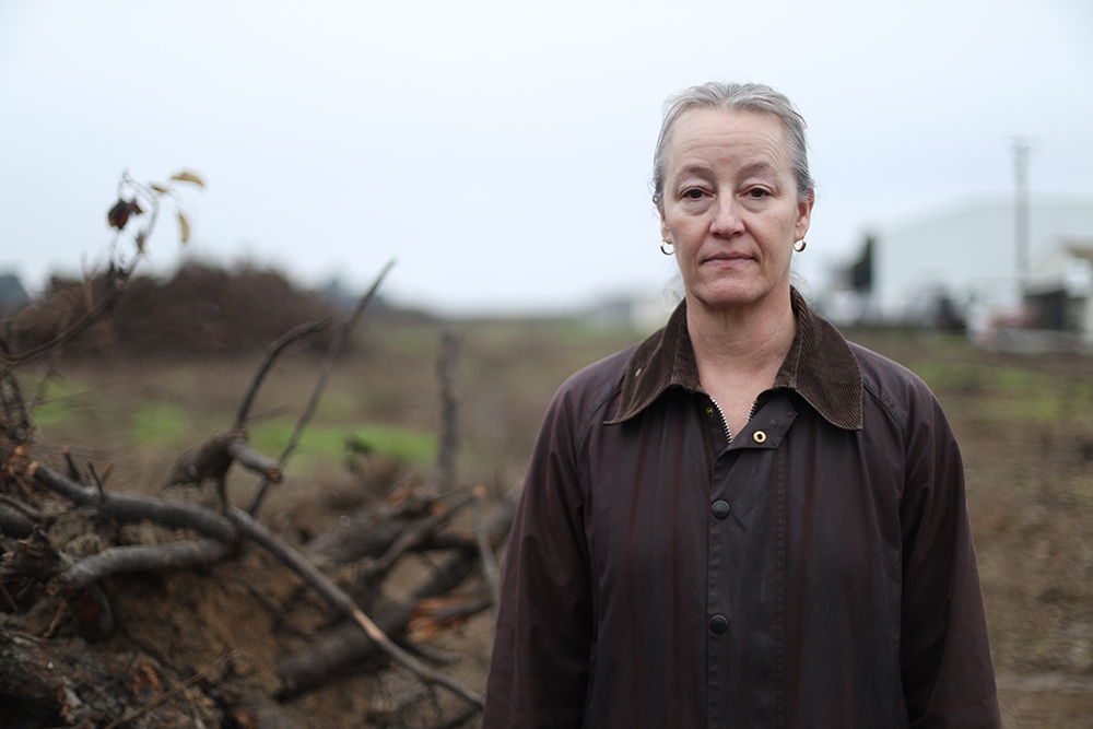 Pear farmers seek to limit Argentine fruit in US market