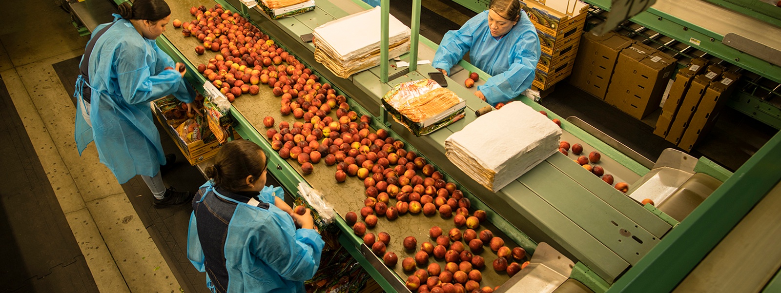 State eyes Hollywood boost after denying agriculture