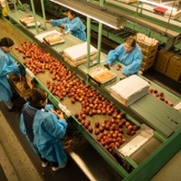 State eyes Hollywood boost after denying agriculture