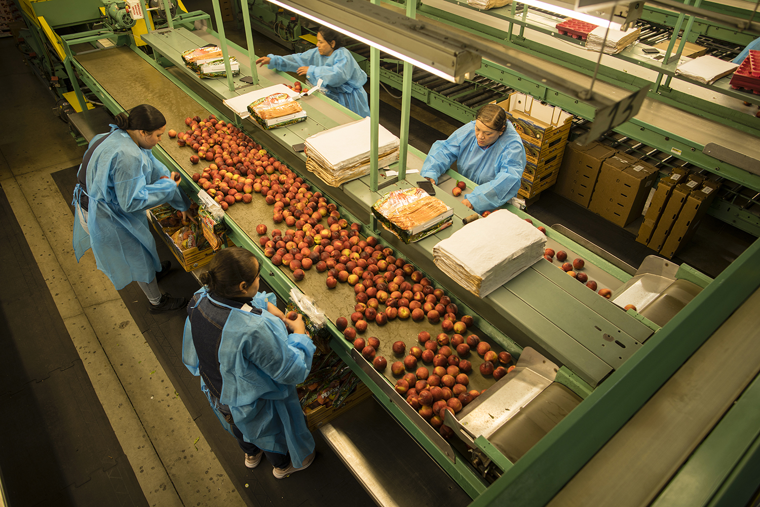 State eyes Hollywood boost after denying agriculture