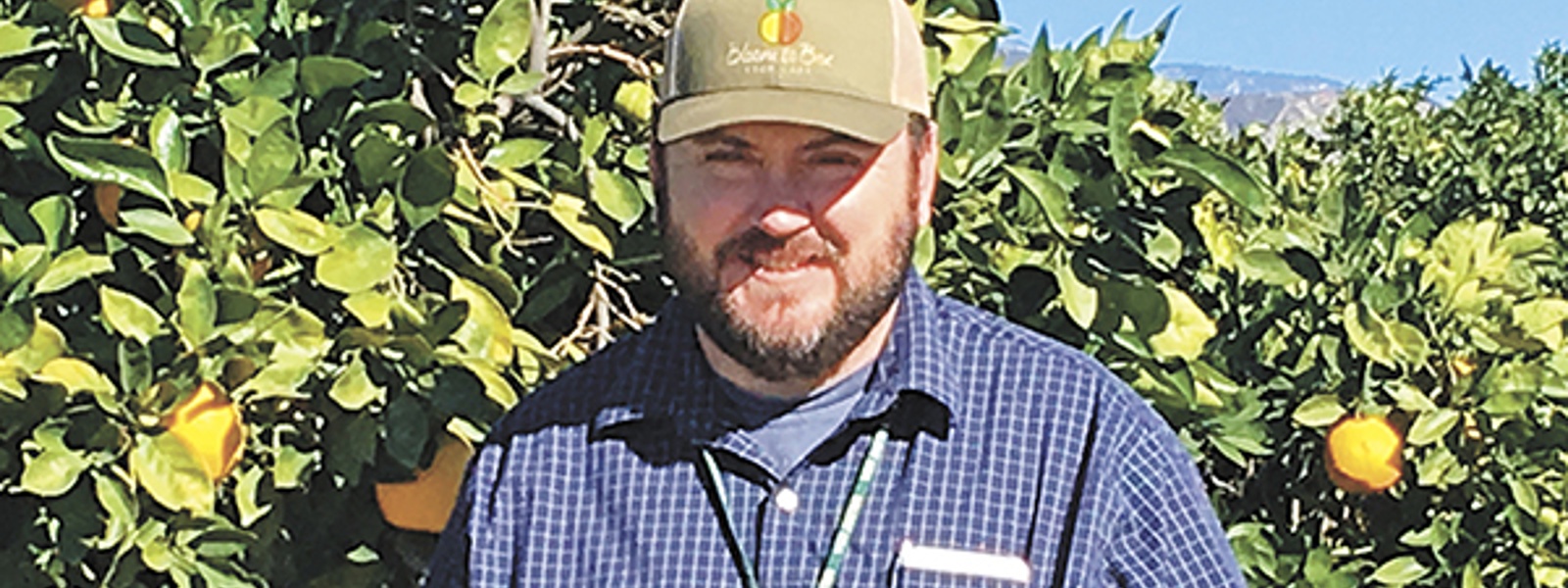 Ak Your PCA: What applications are recommended in the fall for citrus?