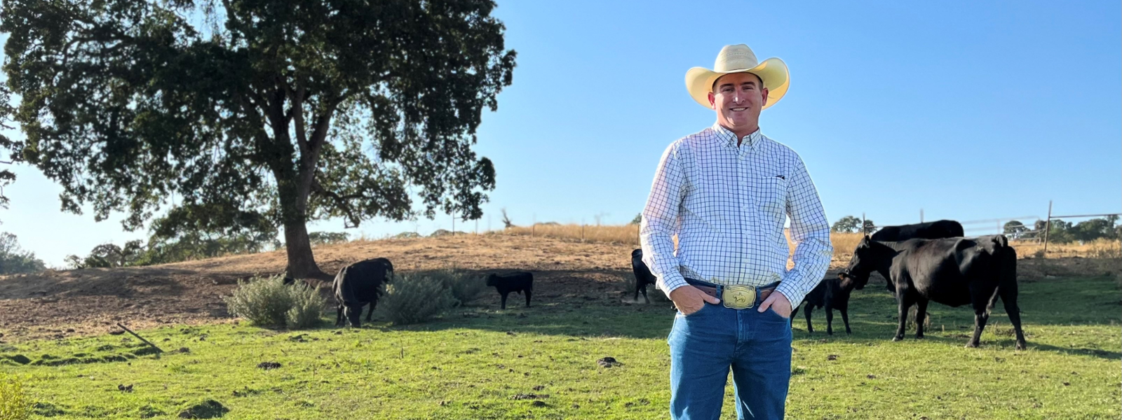 From the Fields - Trevor Airola