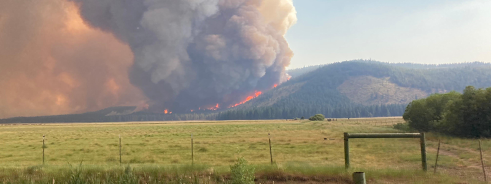 Commentary: Farmers and ranchers deserve a break on insurance