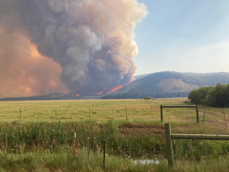 Commentary: Farmers and ranchers deserve a break on insurance