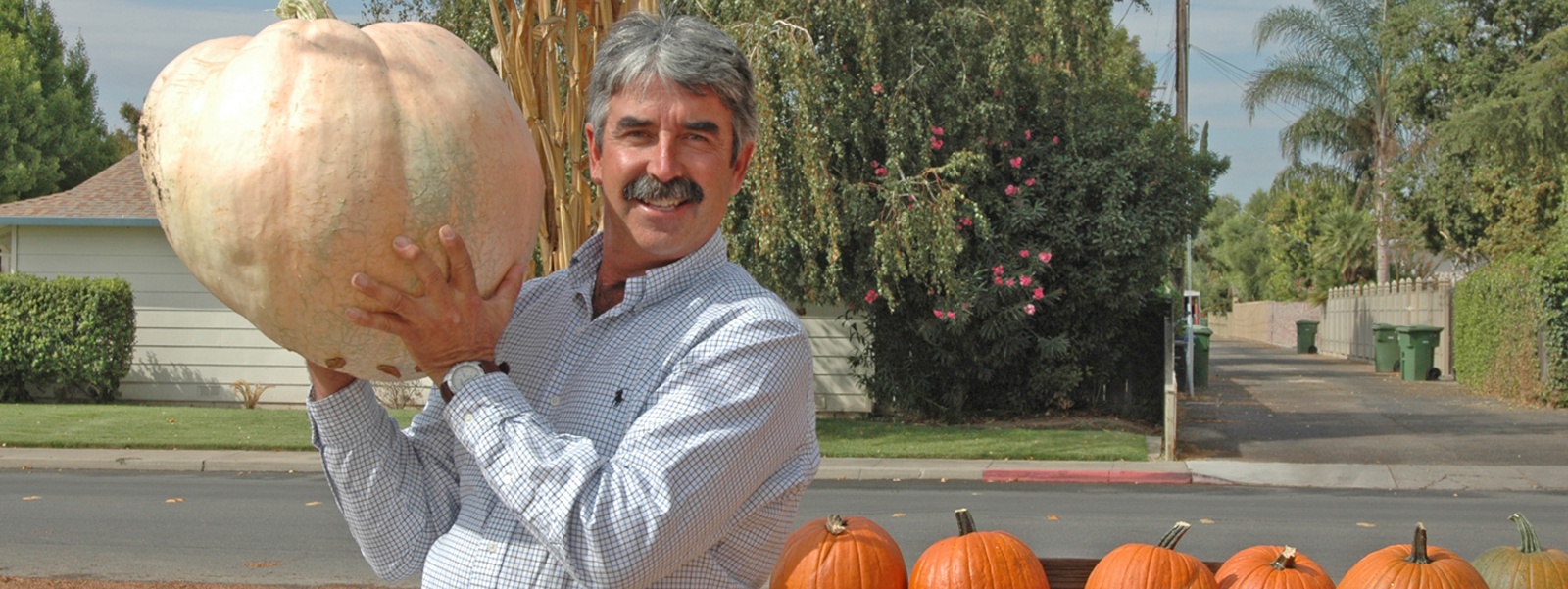 From the Fields – Ron Macedo