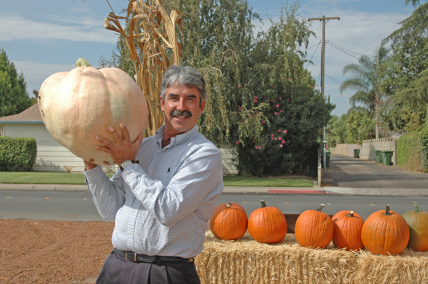 From the Fields – Ron Macedo