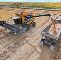 Full rice crop set to win back lost markets