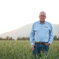 Onion farmers see stability in growing the vegetable