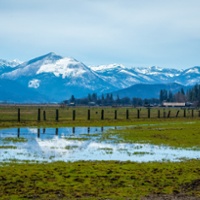 State readopts curtailment for Scott, Shasta tributaries