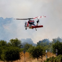 Federal forestry cuts fuel wildfire, resource concerns 