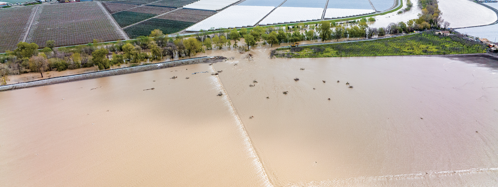 Farmers seek rebound after floods, virus hit lettuce crop