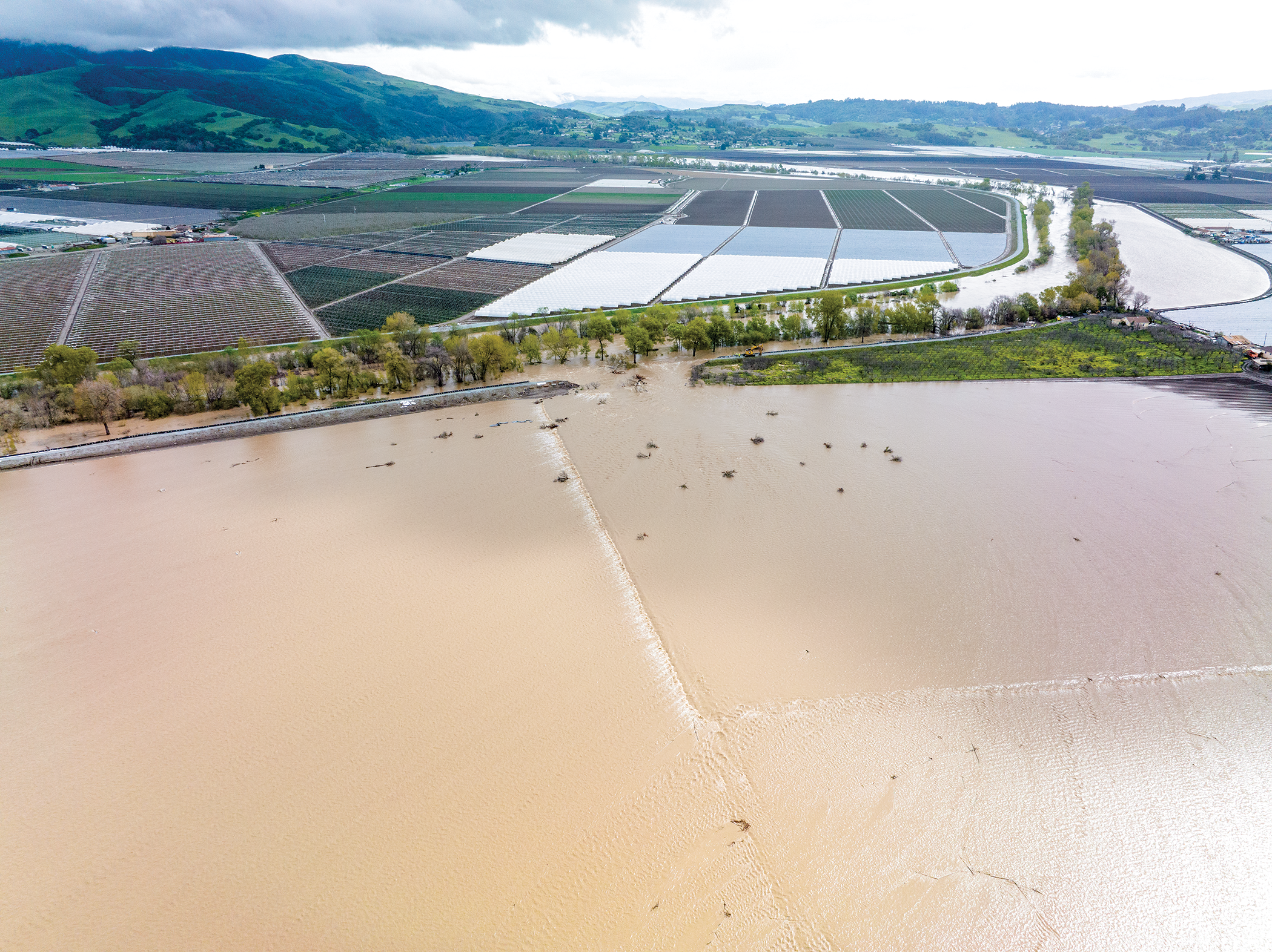 Farmers seek rebound after floods, virus hit lettuce crop