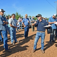 Trials focus on 30 almond varieties for performance