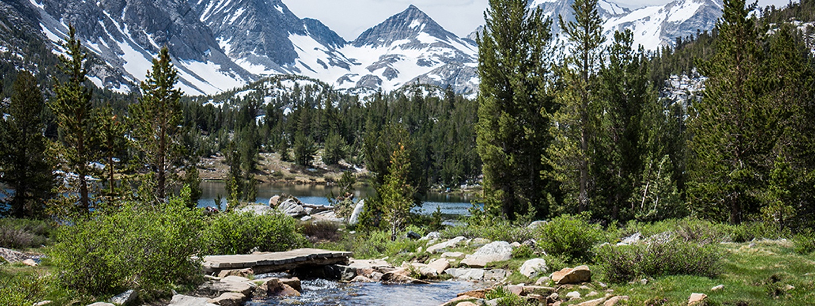 Water reliability depends on forest health, resiliency