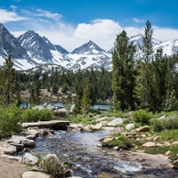 Water reliability depends on forest health, resiliency