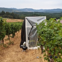 Standards sought for testing smoke taint in vineyards