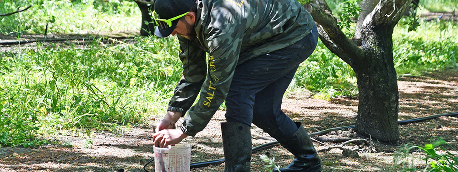Water uniformity tool helps farmers identify savings &nbsp;