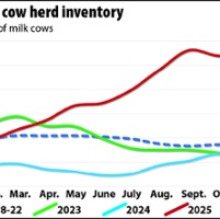 Strong beef prices keep milk replacement heifer count low