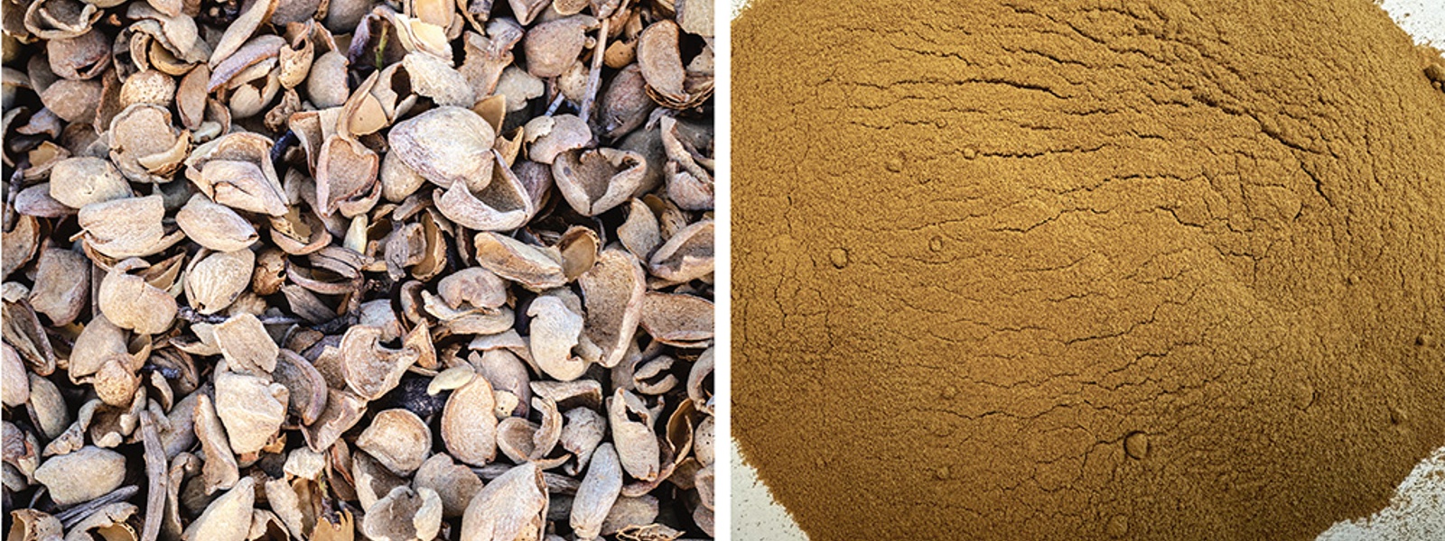 Almond hulls being tested for use as food ingredient