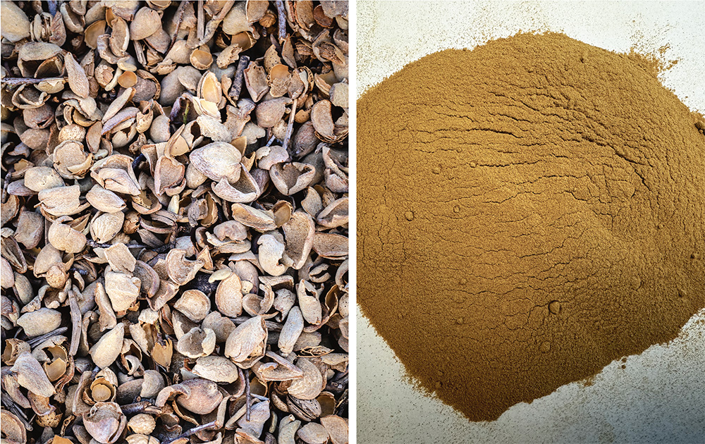 Almond hulls being tested for use as food ingredient