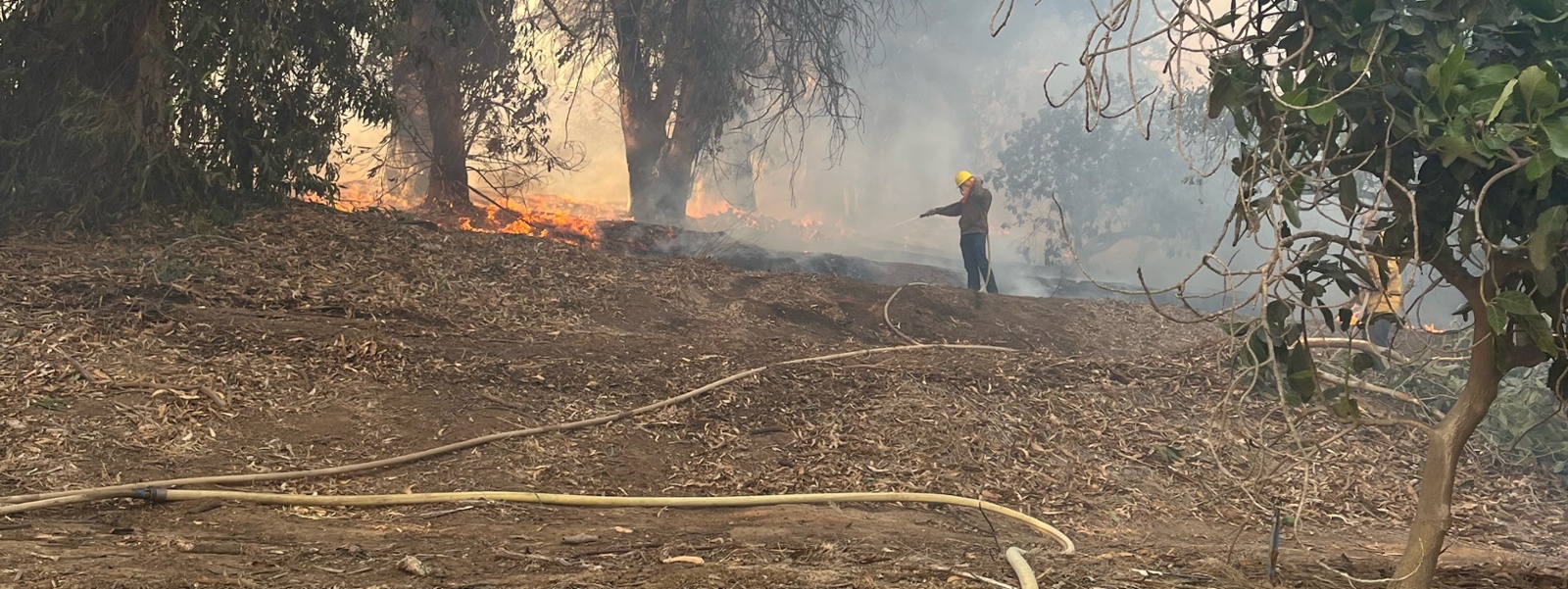 Farmers fought fire as insurers left homes at risk