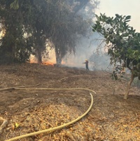 Farmers fought fire as insurers left homes at risk