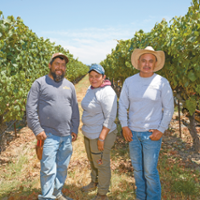 Sonoma County vineyard workers take on new roles
